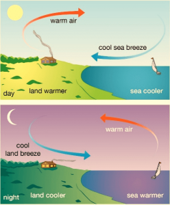 Diagram of Land Breeze and Sea Breeze