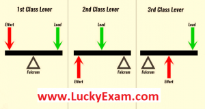 Principle of Lever in Physics in Hindi