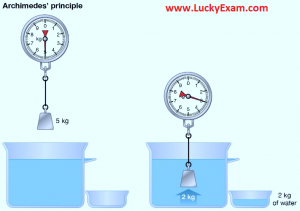 What is Archimedes' Principle