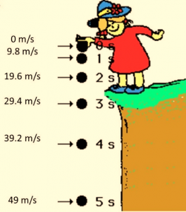 Diagram of Acceleration due to Gravity